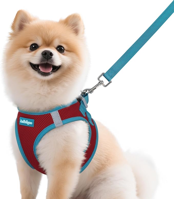 rabbitgoo Dog Harness Small Sized and Leash Set, Step in Soft Vest | Breathable Mesh, Easy Wear with Hook & Loop, Light and Reflective for Walking, Multi-colored, Red & Teal, M by rabbitgoo