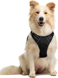 rabbitgoo Dog Harness, No Pull Medium Sized with 2 Leash Clips, Pet Vest | No Choke with Handle, Adjustable Soft Padded, Reflective, Easy Control for Walking, Black, Medium by rabbitgoo