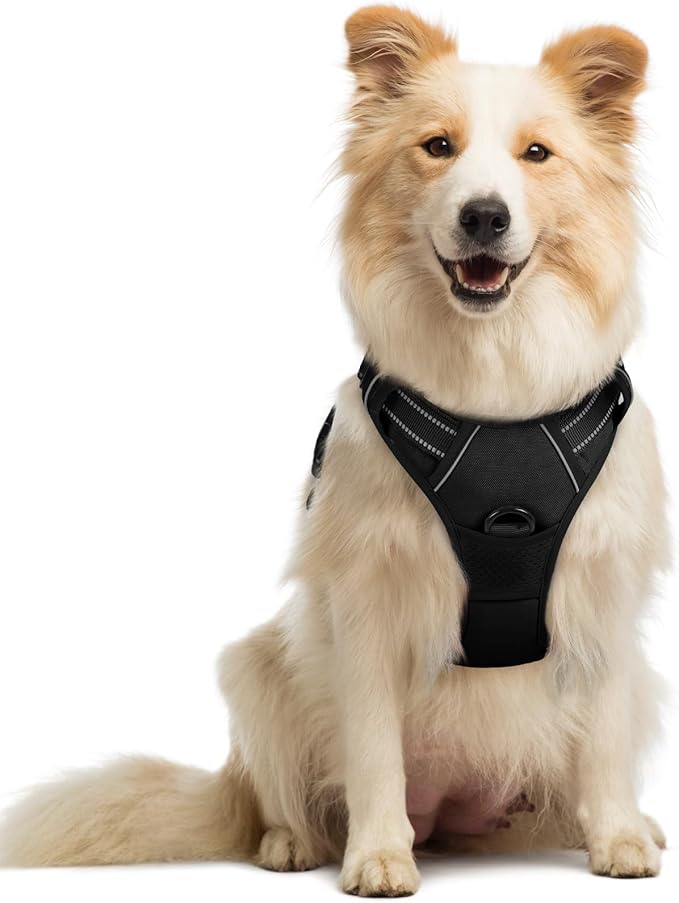 rabbitgoo Dog Harness, No Pull Medium Sized with 2 Leash Clips, Pet Vest | No Choke with Handle, Adjustable Soft Padded, Reflective, Easy Control for Walking, Black, Medium by rabbitgoo