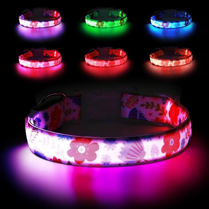 Light Up Dog Collar, USB Rechargeable, Floral Rose Print (L) | USB Rechargeable LED Dog Collar with Bright Light, Adjustable Fit, Floral Daisy Rose Design for Safe Night Walks by Bpawser