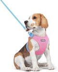 rabbitgoo Dog Harness Medium Sized and Leash Set, Step-in Puppy Pet Vest | Light, Soft, Breathable Air Mesh, Easy on and Remove with Hook & Loop, Secure Reflective for Walking, Blue & Light Pink L by rabbitgoo