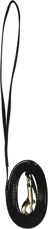 Coastal Pet Single-Ply Dog Leash - Sturdy Pet Leash - Comfortable & Stylish - Resists Fraying - Vibrant & Fade-Resistant Color - Black, 3/8" x 6' - Image 4