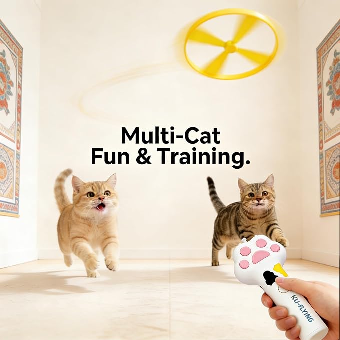 20Pcs Cat Toy Flying Discs, Interactive Cat Fetch Toy for Indoor Cats, Chasing Hunting Training Toys for Kittens & Adult Cats（20Pcs） - Image 6