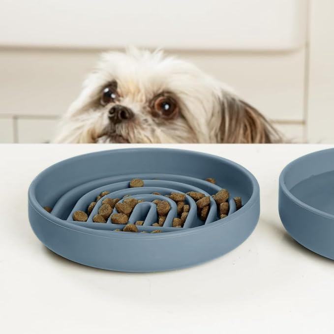 Should We Go? Slow Feeder Dog Bowls - Small Size Silicone Slow Eating Dog Bowl for Puppies & Dogs with Suction Cup -Dishwasher-Safe, Lick Mat Design, Reduces Gulping, for All Breeds, 6”x1.25”- Ocean - Image 6