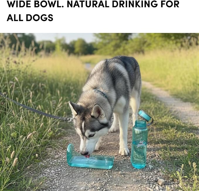 OllyDog OllyBottle Tritan Water Bottle with Detachable Dog Bowl | BPA Free Leakproof | 34oz | Share Water with Your Dog | Hiking Travel Camping (1L, Aqua Blue) - Image 4