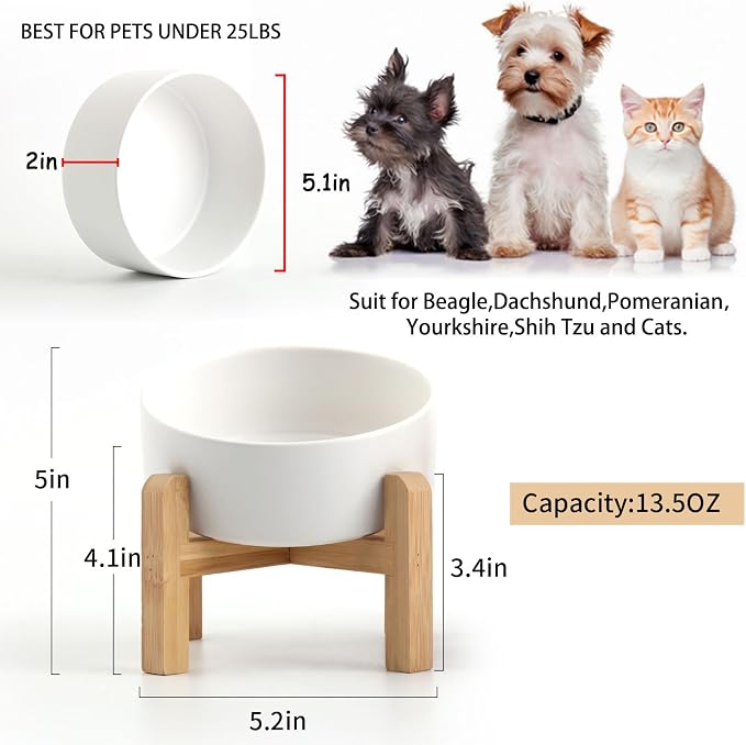 Petygooing White Raised/Elevated 15°Slanted Ceramic Dog Bowl for Small Breeds,Tilted Anti Slip Pet Feeding Bowl,Food Water Dish with Stand for Cats and Small Dogs Puppy 13.5 OZ (5.1In / 1.7 Cups) - Image 4