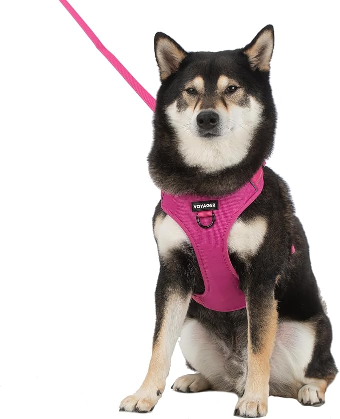 Voyager Dual Attachment No Pull Harness - Fuchsia, X-Large | 28 - 37" in Chest, No Pull Dog Harness, Fully Adjustable, 3M Reflective Technology, Front & Back D-Rings, Walking & Training - Image 8