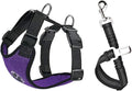 Lukovee Dog Car Harness Seat Belt, Harness & Seatbelt with 2 in 1 Buckle | Adjustable Soft Breathable Mesh Harness, Reflective Elastic Reflective Tether, for Small Medium Large Dogs Pets (Purple,XXS) by Lukovee