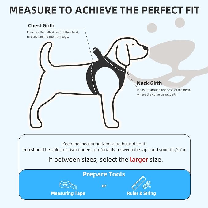 PUPTECK Dog Harness, Collar and Leash Set No Pull for Small Medium Sized | Plaid Puppy Step-in Escape Proof Reflective No Choke Pet Cat Adjustable Walking Vest - Image 2