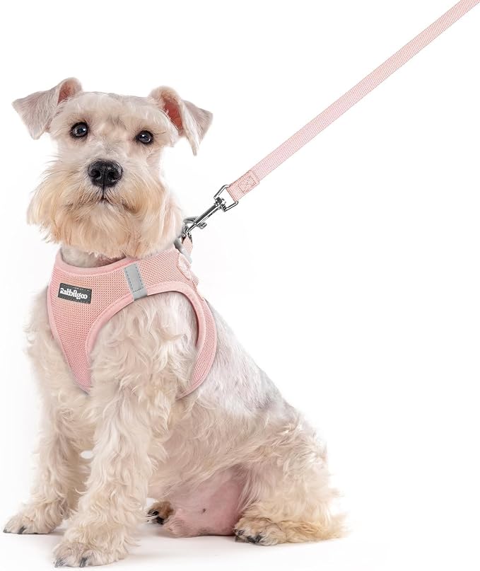 rabbitgoo Dog Harness Medium Sized and Leash Set, Step-in Puppy Pet Vest | Light, Soft, Breathable Air Mesh, Easy on and Remove with Hook & Loop, Secure Reflective for Walking, Pink XXL by rabbitgoo