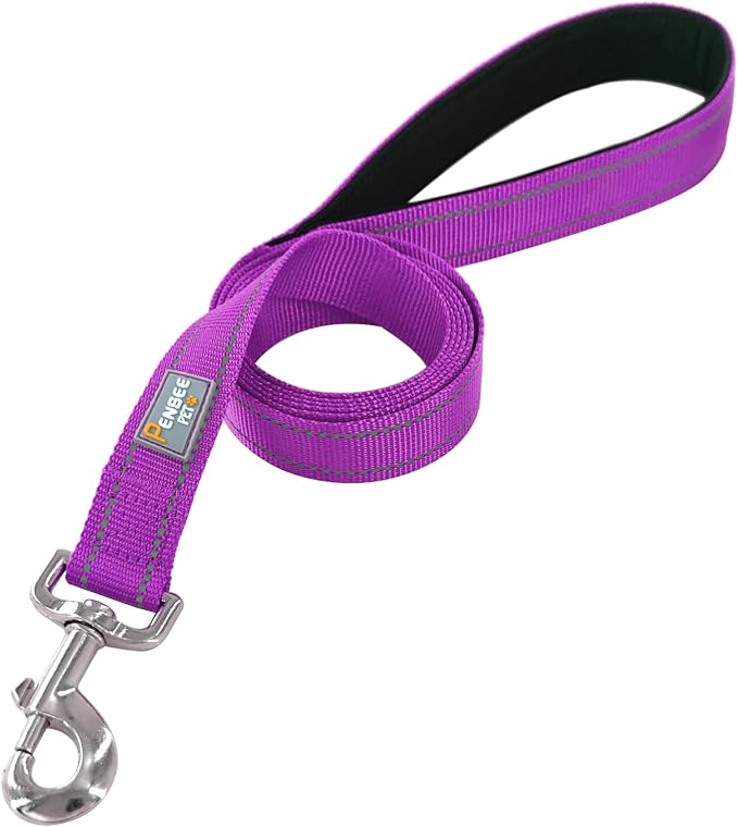 6 FT Basic Dog Leash for Large Dogs,Padded Handle, Magenta | Padded Handle,Metal D-Ring,Heavy Duty Nylon Webbing, for Walking & Training - Image 3