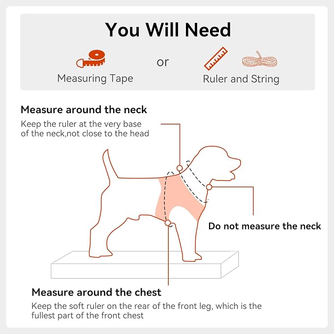 Joytale Step-in Dog Harness, Soft Breathable Mesh, Orange L | Adjustable Fit for Small Dogs, Easy Step-in with Secure Fastener, Even Chest Pressure, Reflective For Night Safety, Washable - Image 7