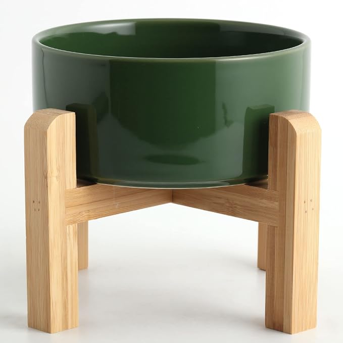Petygooing Rust Green Elevated/Raised Ceramic Dog Bowl for Small Breeds, Dog Food Water Dish with Stand,Pet Feeding Bowl with Anti Slip Rubber for Cats and Small Dogs Puppy 13.5 OZ (5.1In / 1.7 Cups) by PetygooingforYOURLOVEDPET