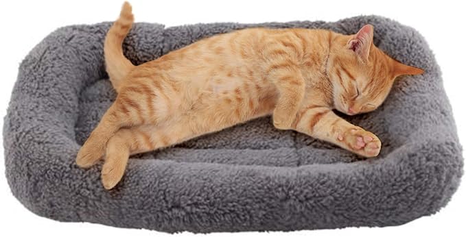 Enjoying Cat Mat Bed 10" x 15" Pet Bed with Pillow Around for Puppy Kitten Curled Sleeping Beds for Carrier/Crate Small Dog Cushion, Anti Skid Bottom, Small by Enjoying