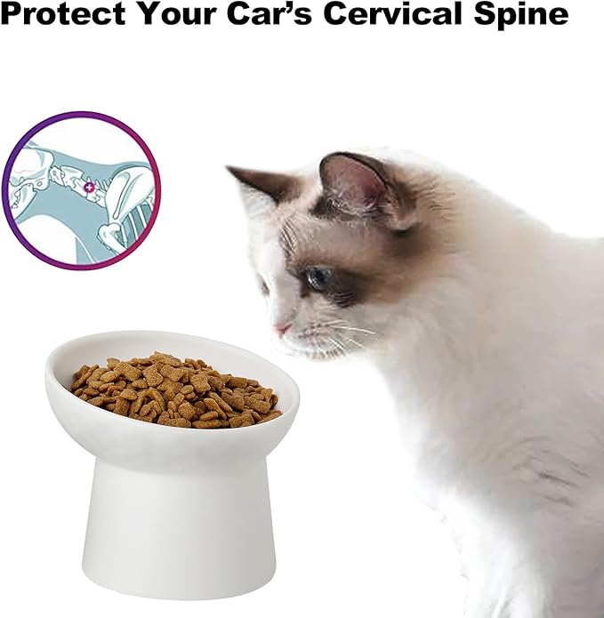Elevated Cat Bowls, 15° Tilted Ceramic Raised Cat Food and Water Bowl Set, Whisker-Friendly Porcelain Pet Feeder Dishes for Indoor Cats and Small Dogs,White,5.2 Inch,4 Pack - Image 3