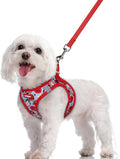 rabbitgoo Dog Harness Small Sized and Leash Set, Step-in Puppy Pet Vest | Light, Soft, Breathable Air Mesh, Easy on and Remove with Hook & Loop, Secure Reflective for Walking, Apple Pups M by rabbitgoo