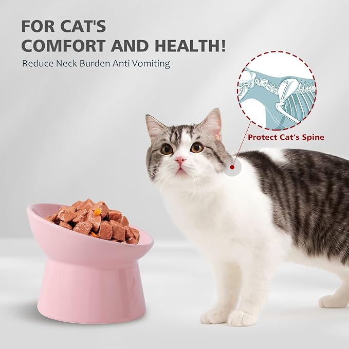 Raised Ceramic Cat Food Bowl - Elevated Base, Tilted, Anti Vomit - Whisker Friendly Shallow Wide Feeding Bowl - Microwave and Dishwasher Safe - Image 3