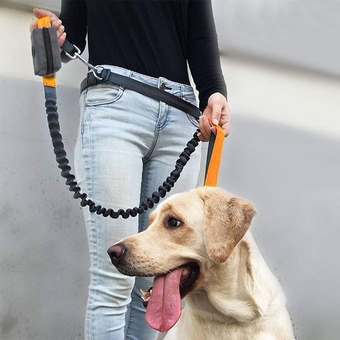 SLSON Pet Waste Bag Dispenser Zippered Pouch,Portable Dog Poop Bag Holder Leash Attachment Lightweight Fabric Bags (Dark Grey) - Image 7
