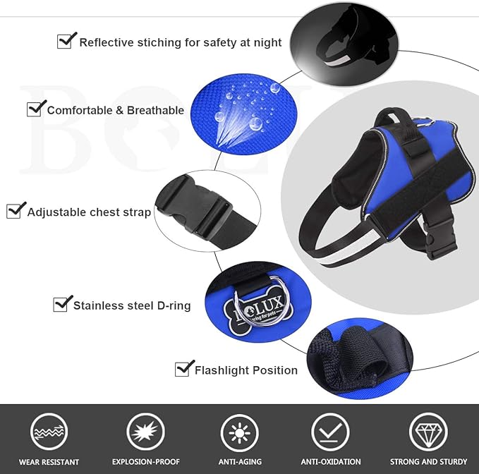 Dog Harness, No-Pull Reflective Dog Vest, Breathable Adjustable Pet Harness with Handle for Outdoor Walking - No More Pulling, Tugging or Choking (Blue, XL) - Image 2