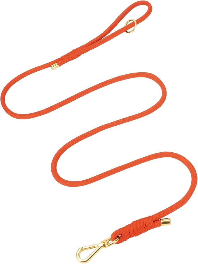 5FT Dog Leash 5/16 inch Puppy Cat Rope Lead | Orange, with Anti-tangle Swivel Clip, Comfortable Non-slip Grip Handle, Ideal for Daily Walks, for Small Medium Dogs by Sunraymascota