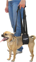 Dog Rear Sling Support Harness, SM Female, Machine Wash & Dry | Fits Small to Medium Size Dogs or Larger Barrel-Chested Breeds like Boxers, Bullies. Padded, Integrated Leash. Made in U.S.A. by GINGERLEADDogSupportSlings