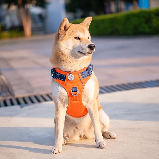 No Pull Dog Harness, Unique Colors Reflective Adjustable Dog Vest | with Soft Training Handle Metal Clips for Small Medium Large Dogs (Orange Base & Blue Straps,S) - Image 3