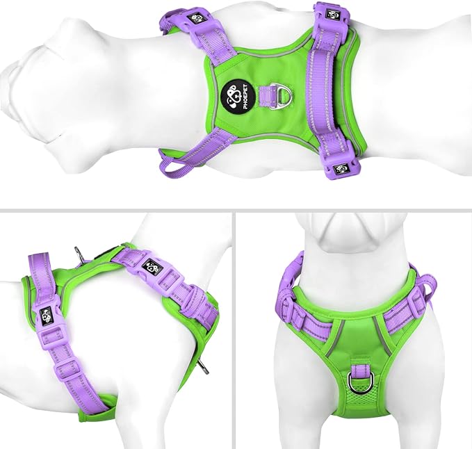 No Pull Dog Harness, Unique Colors Reflective Adjustable Dog Vest | with Soft Training Handle Metal Clips for Small Medium Large Dogs (Green Base & Purple Straps,S) - Image 2