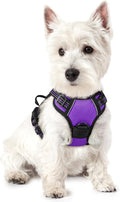 rabbitgoo Dog Harness No Pull with 2 Leash Clips, Adjustable Soft Padded, Reflective Oxford No Choke Pet Vest with Easy Control Handle for Puppy, Purple,XS | No Choke with Handle, Adjustable Soft Padded, Reflective, Easy Control for Walking, Purple, X-... by rabbitgoo