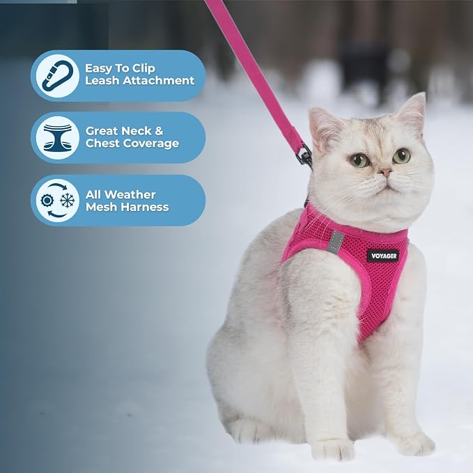 Voyager Step-in Air Cat Harness & Leash Set - Fuchsia, M | 15 - 17" in Chest, Reflective Bands, All Weather Breathable Air Mesh, Cats Compatible, Fast Drying - Image 2