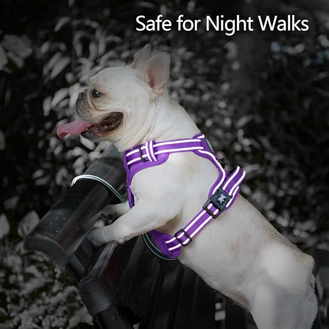 PoyPet No Pull Dog Harness, Reflective Vest with 2 Leash Clips & Handle | Lockable Neck Release Buckle, No Choke, Adjustable, Soft Padded, for Walking Training, Purple Matching Trim, Large - Image 6