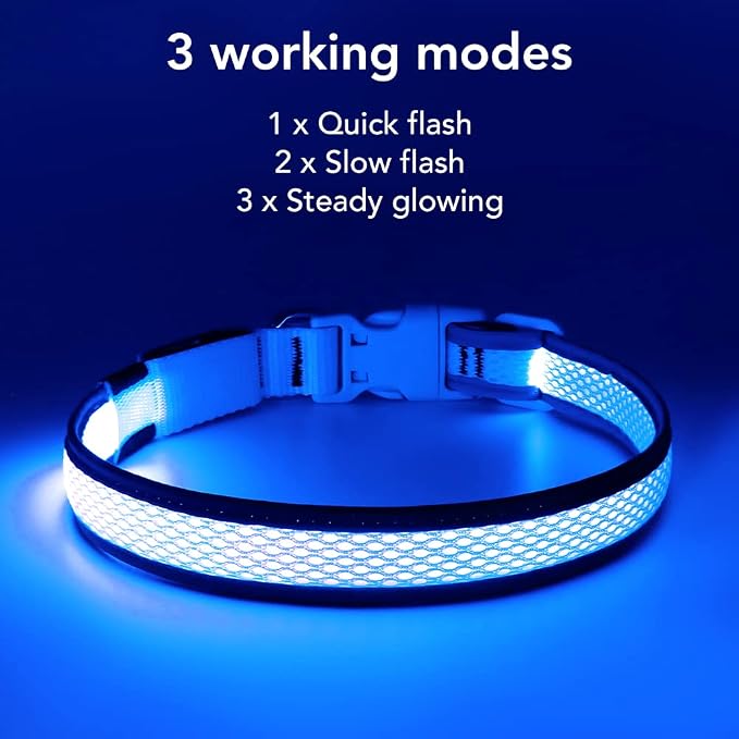 BSEEN Light Up Dog Collar, Reflective LED Puppy Collar Rechargeable Glow in the Dark Dog Lights for Night Walking (Small, Blue) - Image 7