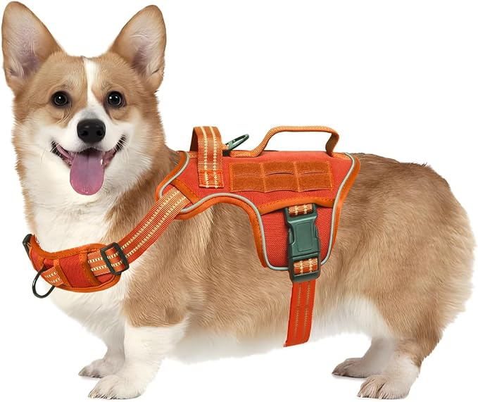 Dog Harness, Tactical No Pull for Small Sized Dog with Handle | Breathable Soft Padded, Adjustable, Reflective, Molle System, Heavy Duty, No Choke for Walking Training, Orange Small by Runfido