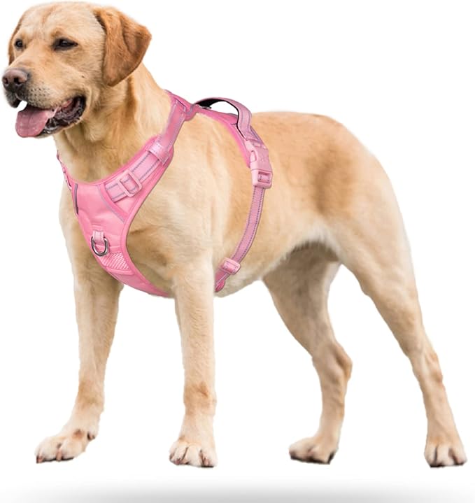 PoyPet No Pull Dog Harness, Reflective Vest with 2 Leash Clips & Handle | Lockable Neck Release Buckle, No Choke, Adjustable, Soft Padded, for Walking Training, Light Pink Matching Trim, Small - Image 7