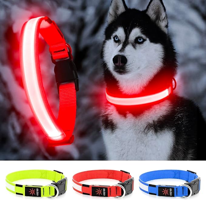 LED Dog Collar, Dog Light Up Collar,for Night Walking (Red, X-Large) | Full Adjustable,Waterproof,Nylon,Soft,Super Bright Light Collars for Small Medium and Large Dogs,USB C to Charge by YFbrite