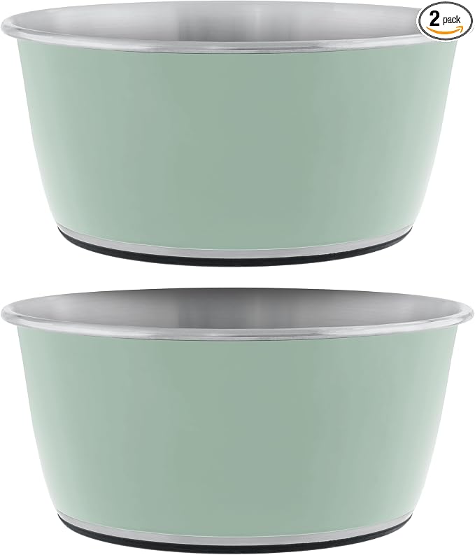 Master Pet Supply Stainless Steel Dog Bowls Set of 2 - Pistachio - 16 Oz | Non-Slip Rubber Base, Basic Dog Food Bowl Water & Food Bowls for Small, Medium, Large Dogs & Cats Metal Dish by MasterPetSupply