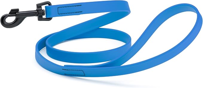 Dogline Biothane Waterproof Dog Leash Strong Coated Nylon Webbing with Black Hardware Odor-Proof Easy to Clean High Performance for Small or Large Dogs Made in USA 4 or 6 ft Lead, Cerulean Blue by Dogline