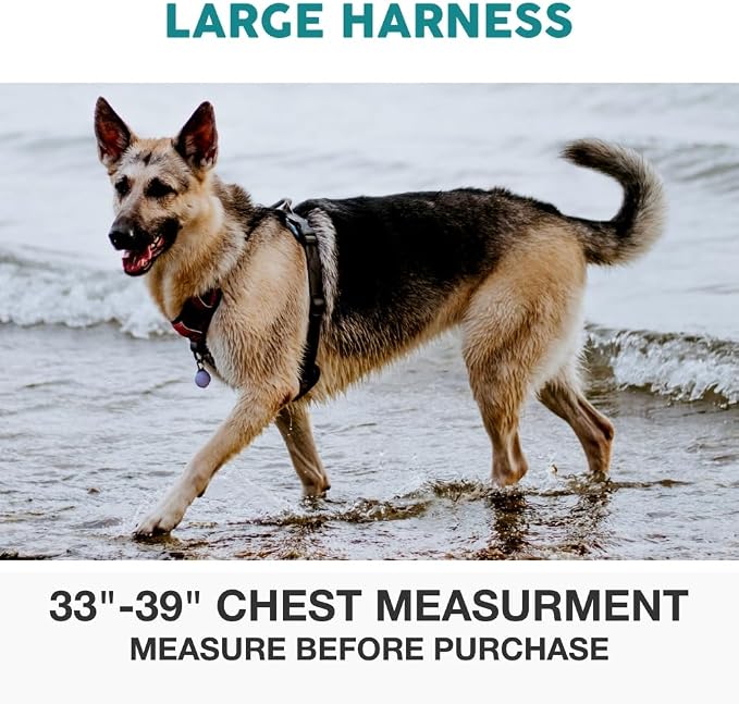 Embark No Pull Dog Harness, Reflective Adjustable Training Vest, No Choke | Adjustable straps fit all dog breeds with sturdy hooks; 360° reflective trim, soft padded Harness Design for All Dogs - Image 2