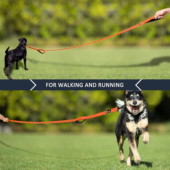 Plutus Pet Double Handle Dog Leash, 4 FT Long, for Medium Large Dogs | Reflective Nylon, Soft Padded 2 Handles, Heavy Duty for Training, Dual Handle Lead, 4 FT x 1”, Orange - Image 7