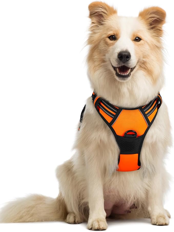 rabbitgoo Dog Harness, No Pull Medium Sized with 2 Leash Clips, Pet Vest | No Choke with Handle, Adjustable Soft Padded, Reflective, Easy Control for Walking, Orange, Medium by rabbitgoo