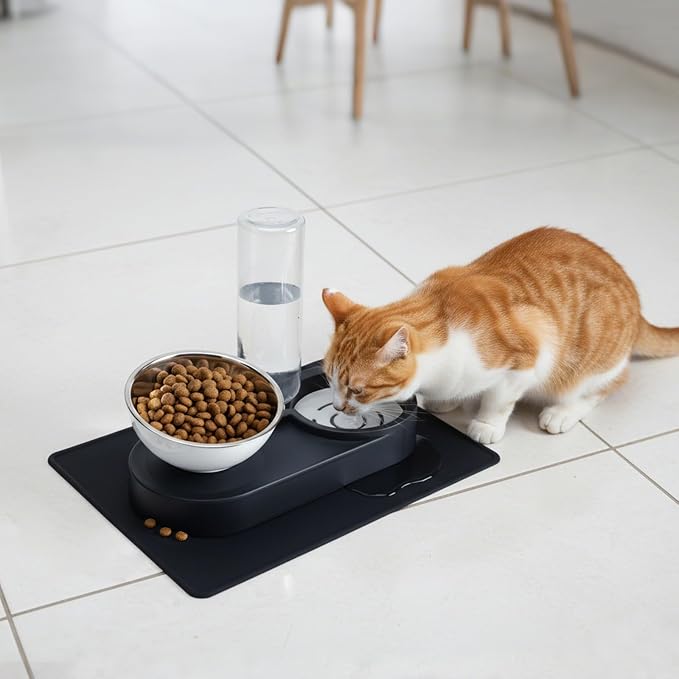 Raised Dog Cat Food Bowl, Cat Food and Water Bowl Set with Water Dispenser, Stainless Steel Bowls and Feeding Mat, Food Feeding Dishes for Indoor Cats and Small Dogs, Black - Image 9