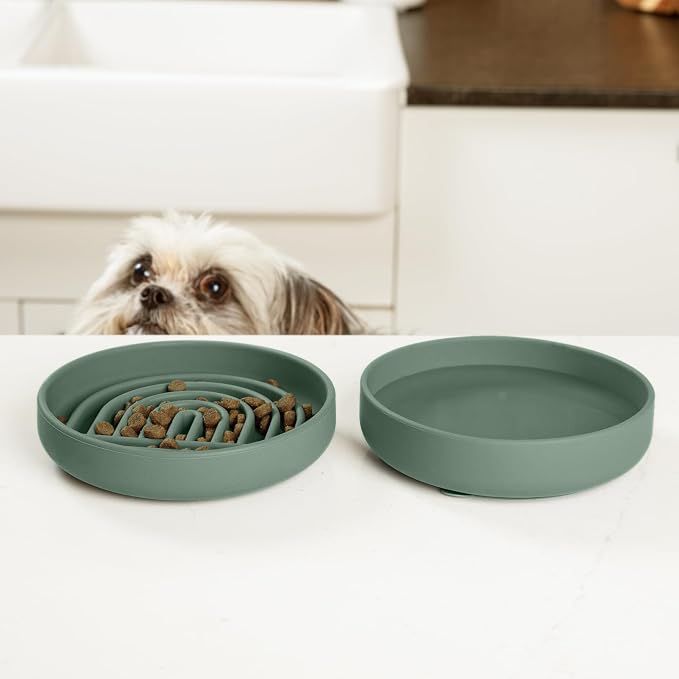 Should We Go? Slow Feeder Dog Bowls - Small Size Silicone Slow Eating Dog Bowl for Puppies & Dogs with Suction Cup -Dishwasher-Safe, Lick Mat Design, Reduces Gulping, for All Breeds, 6”x1.25”- Spruce - Image 2
