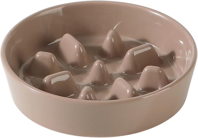 Havniva Dog Bowls Slow Feeder, Ceramic Slow Feeder Dog Bowls for Fast Eater | 1.2 Cups Dog Food Bowl Puzzle Feeder, Slow Feeding Bowls for Small & Medium Breed, Non-Slip Base, Anti-Choking by Havniva