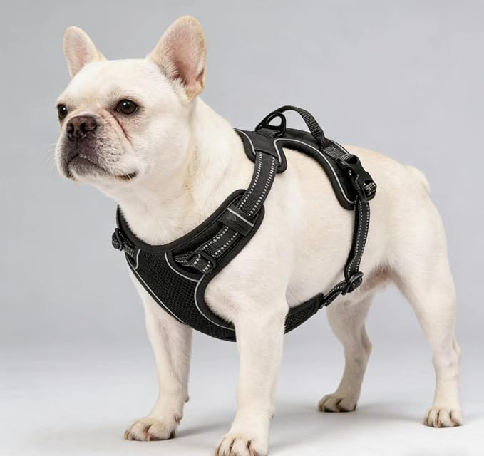 Adjustable Reflective Black No-Pull Dog Harness with 2 Leash Clips，Soft Padded Vest for Large Dog, Easy to Put on and Take Off, Black L - Image 4