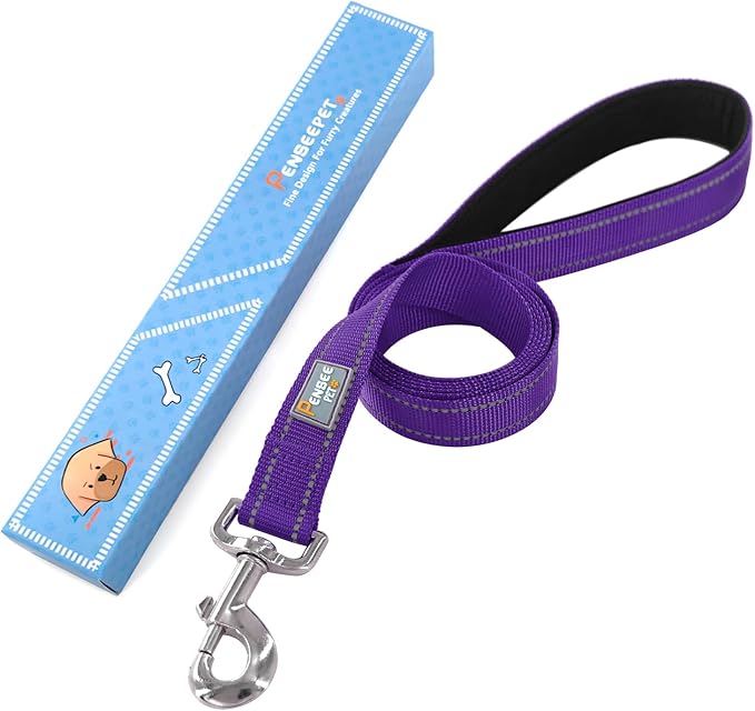 6 FT Basic Dog Leash for Large Dogs,Purple | Padded Handle,Metal D-Ring,Heavy Duty Nylon Webbing, for Walking & Training - Image 6