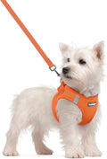 rabbitgoo Dog Harness Small Sized and Leash Set, Step-in Puppy Pet Vest | Light, Soft, Breathable Air Mesh, Easy on and Remove with Hook & Loop, Secure Reflective for Walking, Orange S by rabbitgoo