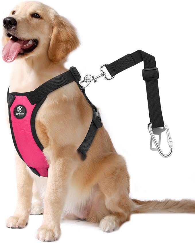 VavoPaw Dog Seat Belt Vest Harness for Car, 2 in 1 Seatbelt Buckle | Soft Breathable Mesh, Adjustable Buckle, Nylon, Heavy Duty Pet Safety Seat Belts for Small Medium Large Pets, Magenta, L by VavoPaw