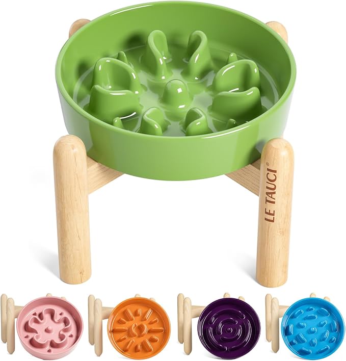 LE TAUCI Ceramic Slow Feed Dog Bowls, Elevated for Small Breeds, Anti-Gulping, Non-Slip, 6 inch, Green by LETAUCI