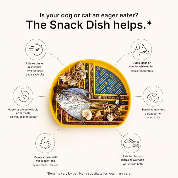 Snack Dish Slow Feeder Bowl for Dogs & Cats – Dual Pattern Design with Treat Corner, Mess-Free Feeding, Dishwasher Safe | Kubi Pets - Image 3