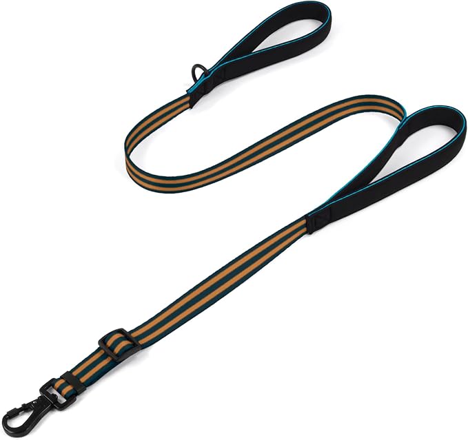 Reflective Double Handle Dog Leash for Large Medium Small Dogs (BO, L) | Heavy Duty, Adjustable with Soft Padded Handles, Traffic Control for Training, Walking, Running by Tiffpaws