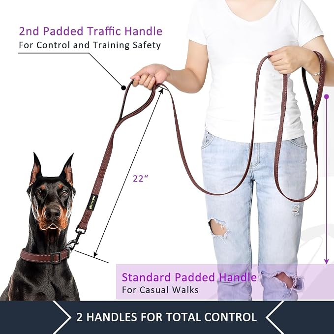 Plutus Pet Double Handle Dog Leash, 5 FT Long, for Medium Large Dogs | Reflective Nylon, Soft Padded 2 Handles, Heavy Duty for Training, Dual Handle Lead, 5 FT x 1”, Chocolate - Image 4